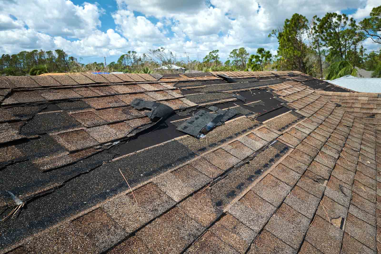 What Can Damage Your Roof? - MLM Home Improvement